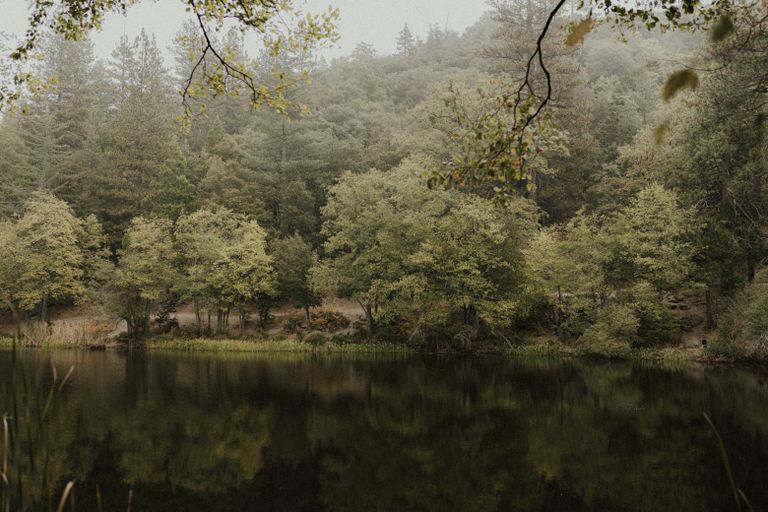 Tranquil forest scene with calm reflections in Idyllwild-Pine Cove, CA.